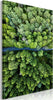 Quadro-Road-Through-Forest-(1-Part)-Vertical