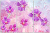 Quadro-su-tela-3-pannelli,-Astrazione-dei-fiori-di-orchidea