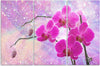Quadro-su-tela-3-pannelli,-Astrazione-orchidea-essenziale