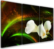 Quadro-su-tela-3-pannelli,-Fiore-bianco-sullo-sfondo-marrone