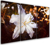 Quadro-su-tela-3-pannelli,-Lily-bianco-su-uno-sfondo-marrone