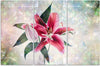 Quadro-su-tela-3-pannelli,-Lily-rosa
