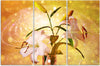 Quadro-su-tela-3-pannelli,-Lily-su-uno-sfondo-giallo