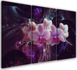 Quadro-su-tela-3-pannelli,-Orchidea-bianca-su-uno-sfondo-scuro