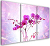 Quadro-su-tela-3-pannelli,-Orchidea-essenziale