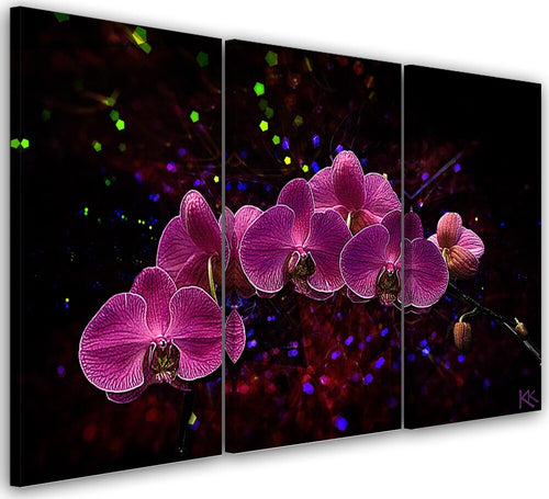 Quadro-su-tela-3-pannelli,-Orchidea-su-uno-sfondo-scuro