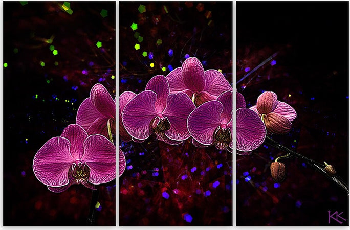 Quadro-su-tela-3-pannelli,-Orchidea-su-uno-sfondo-scuro