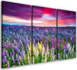 Quadro-su-tela-3-pezzi-Campo-di-lavanda-Natura