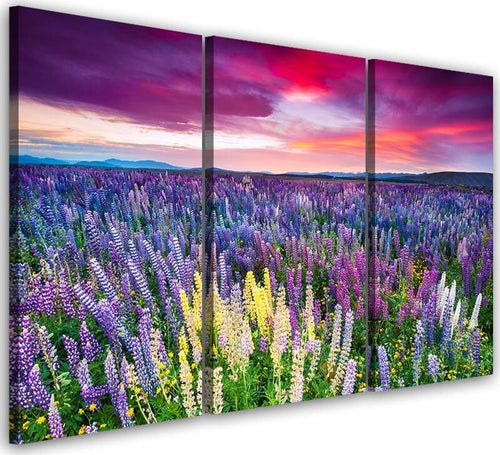 Quadro-su-tela-3-pezzi-Campo-di-lavanda-Natura