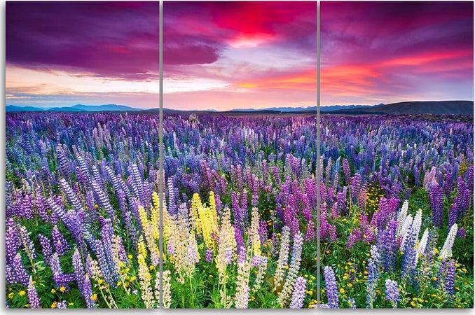 Quadro-su-tela-3-pezzi-Campo-di-lavanda-Natura