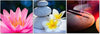 Quadro-su-tela-3-pezzi-Fiore-Pietra-Zen