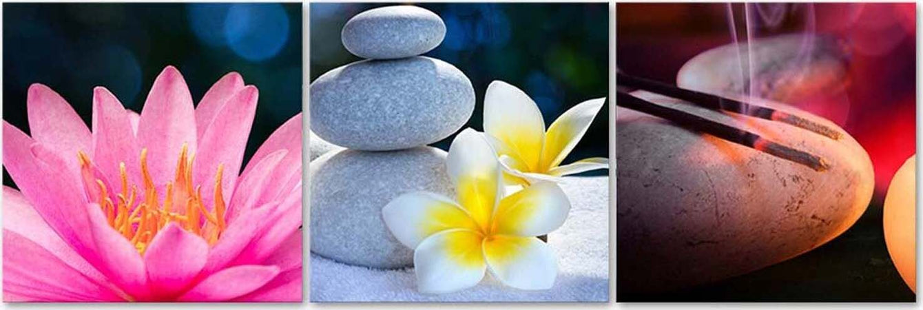 Quadro-su-tela-3-pezzi-Fiore-Pietra-Zen