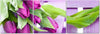 Quadro-su-tela-3-pezzi-Fiori-di-tulipani-rosa