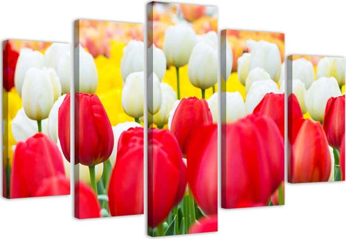 Quadro-su-tela-5-pannelli-Tulipano-rosso-bianco