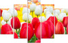 Quadro-su-tela-5-pannelli-Tulipano-rosso-bianco
