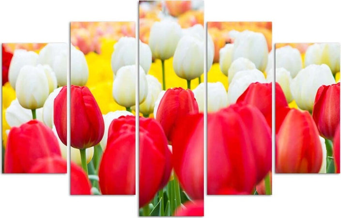 Quadro-su-tela-5-pannelli-Tulipano-rosso-bianco