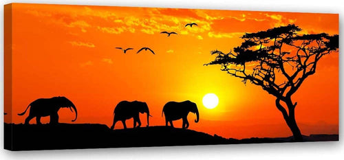 Quadro-su-tela,-Africa-tramonto-elefanti