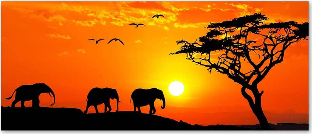 Quadro-su-tela,-Africa-tramonto-elefanti