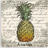 Quadro-su-tela,-Ananas-vintage