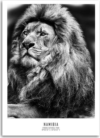 Quadro-su-tela,-Animali-Africa-Lion