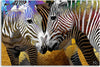 Quadro-su-tela,-Animali-zebra-astratti