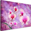 Quadro-su-tela,-Astrazione-dei-fiori-di-orchidea