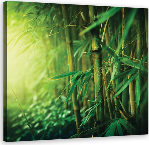 Quadro-su-tela,-Bamboo-nella-giungla