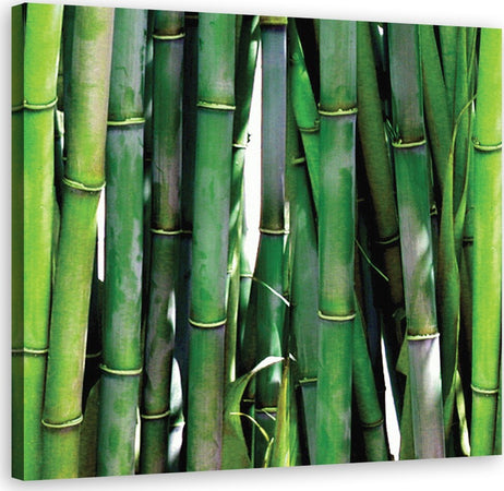 Quadro-su-tela,-Bamboo-verde