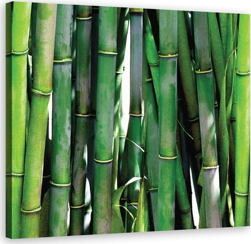 Quadro-su-tela,-Bamboo-verde