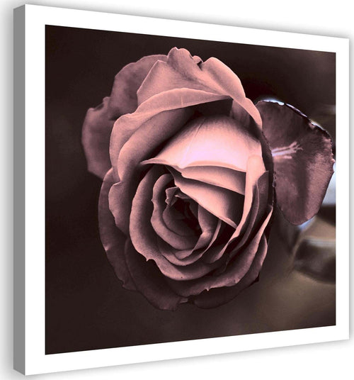 Quadro-su-tela,-Bellissimo-fiore-di-rosa-rosa