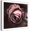 Quadro-su-tela,-Bellissimo-fiore-di-rosa-rosa