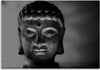 Quadro-su-tela,-Buddha-Positivo