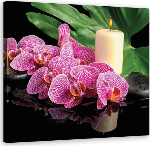 Quadro-su-tela,-Candela-rosa
