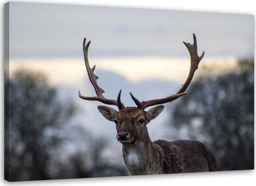 Quadro-su-tela,-Cervi-Animali-Paesaggio-Natura
