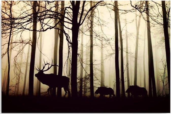 Quadro-su-tela,-Cervi-nella-foresta-Nebbia-Marrone
