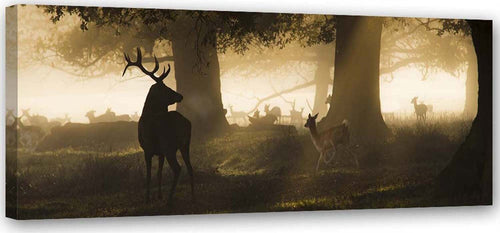 Quadro-su-tela,-Cervo-nella-foresta-nebbia-marrone