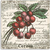 Quadro-su-tela,-Cherry-vintage