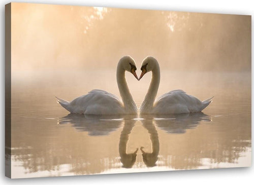 Quadro-su-tela,-Cigni-in-amore-nel-mare