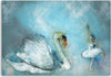 Quadro-su-tela,-Cigno-Ballerina-Turchese