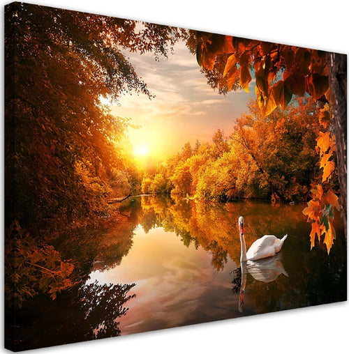 Quadro-su-tela,-Cigno-sullo-stagno-autunno