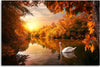 Quadro-su-tela,-Cigno-sullo-stagno-autunno