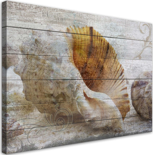 Quadro-su-tela,-Conchiglie-in-stile-vintage