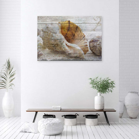 Quadro-su-tela,-Conchiglie-in-stile-vintage