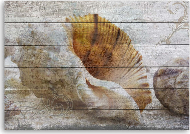 Quadro-su-tela,-Conchiglie-in-stile-vintage