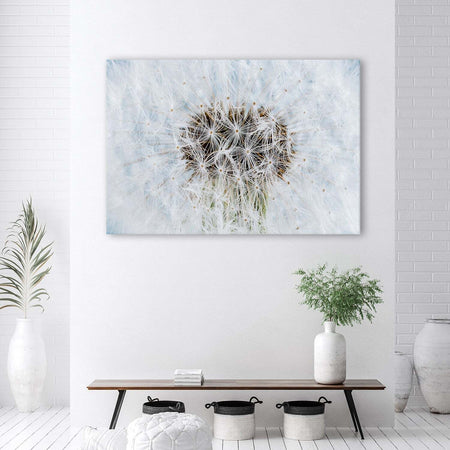 Quadro-su-tela,-Dandelion-di-fiori-bianchi