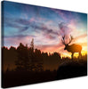 Quadro-su-tela,-Deer-al-tramonto