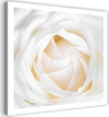 Quadro-su-tela,-Delicata-rosa-bianca