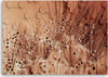 Quadro-su-tela,-Dente-di-leone-in-gocce-di-rugiada