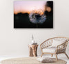 Quadro-su-tela,-Denti-di-leone-al-tramonto