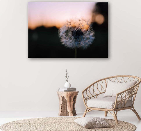 Quadro-su-tela,-Denti-di-leone-al-tramonto